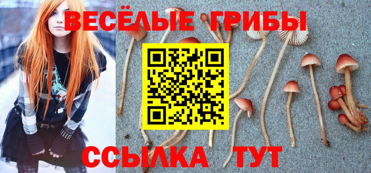 Псилоцибиновые грибы прущие грибы  Вход с VPN  Долгопрудный 