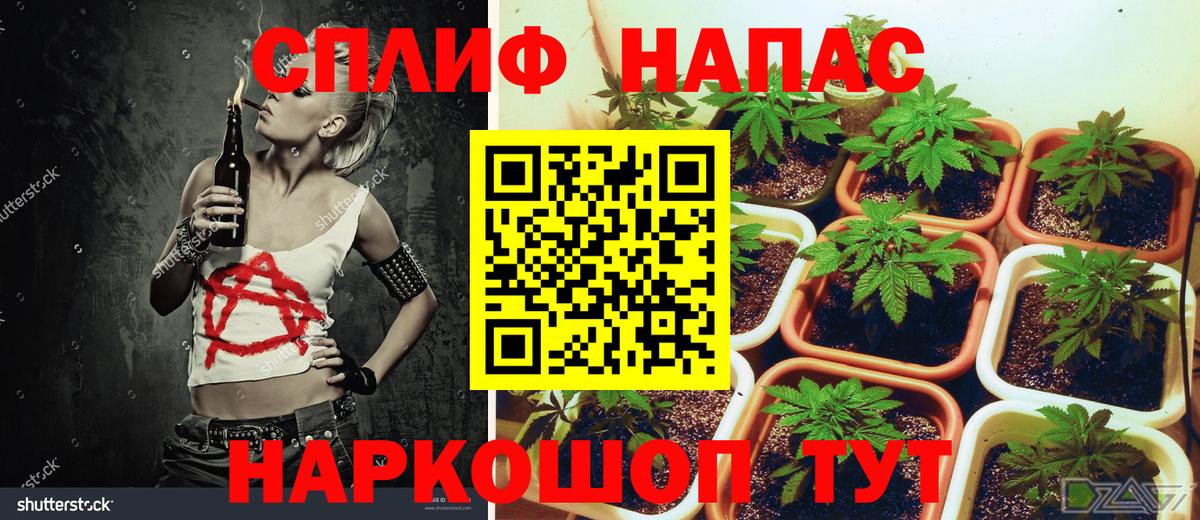 Бошки марихуана LSD WEED  Вход с VPN  Бошки Шишки VHQ  Долгопрудный 